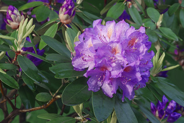 Similar image 12037086