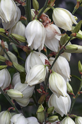 Similar image 12037087