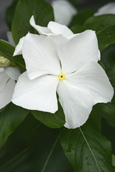 Similar image 12037089