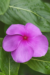 Similar image 12037093