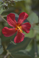 Similar image 12037094