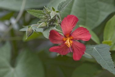 Similar image 12037095