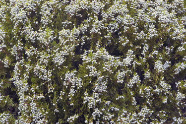 Similar image 12037097