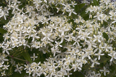 Similar image 12037100