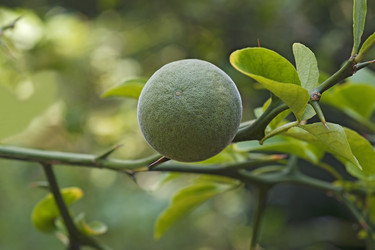 Similar image 12037102