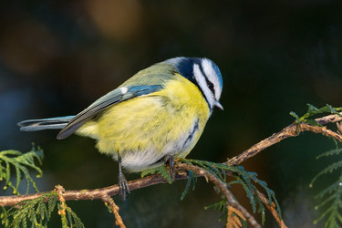 Similar image 11958742