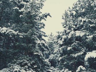 Similar image 12037198