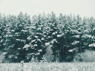 Similar image 12037207