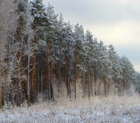 Similar image 12037208