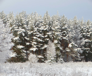 Similar image 12037209