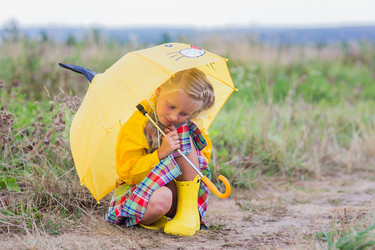 Similar image 12030220