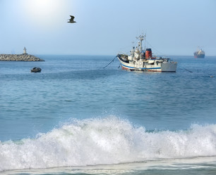 Similar image 11958707