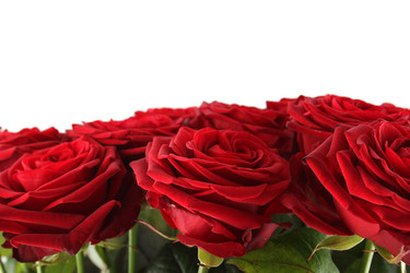 Similar image 11958708