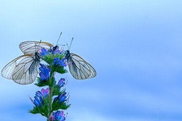 Similar image 11963147