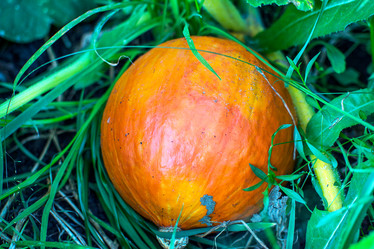 Similar image 11963187