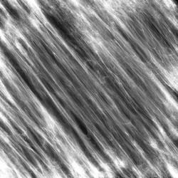 Similar image 11959829