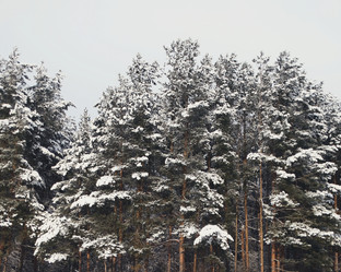 Similar image 12037226