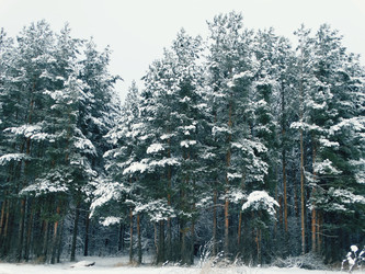 Similar image 12037227