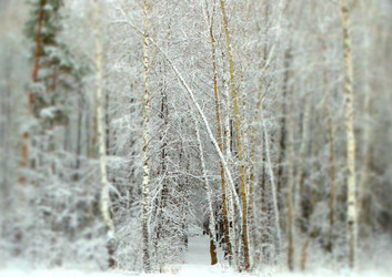 Similar image 12037228