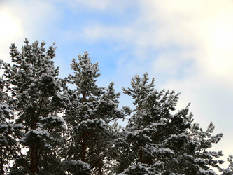 Similar image 12037229