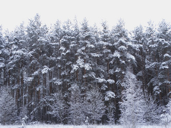 Similar image 12037230