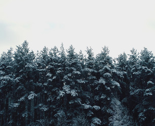 Similar image 12037231