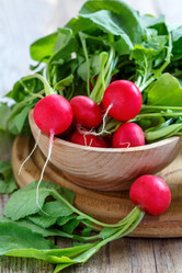 Similar image 11959069