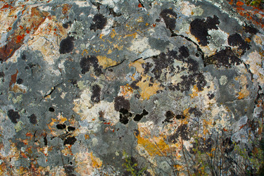 Similar image 11963288