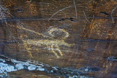 Similar image 11963304