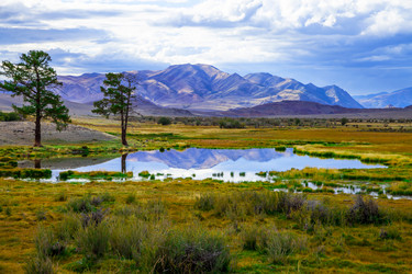 Similar image 11962929