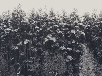 Similar image 12037232