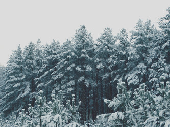 Similar image 12037233