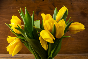 Similar image 11962959