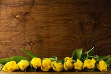 Similar image 11962978