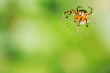 Similar image 11964829