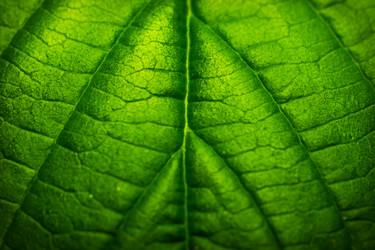 Similar image 11964830