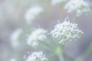 Similar image 11964831