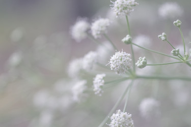 Similar image 11964810