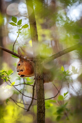 Similar image 11964811