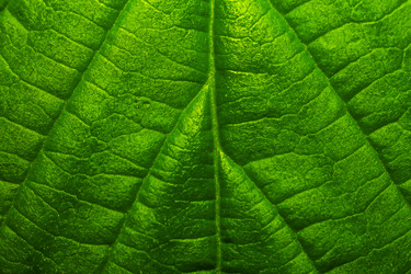 Similar image 11964812