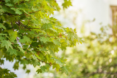 Similar image 11964813