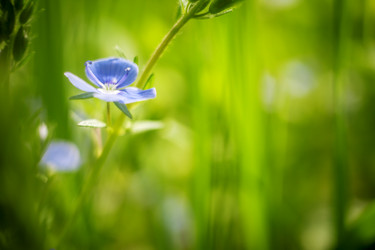 Similar image 11964814