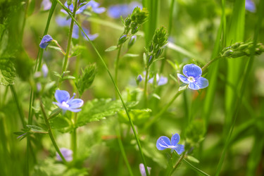 Similar image 11964816