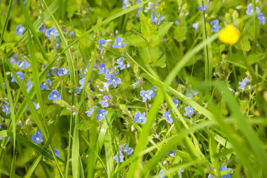 Similar image 11964817