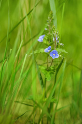 Similar image 11964818