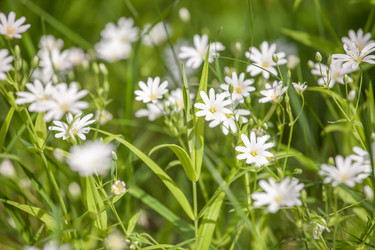 Similar image 11964819