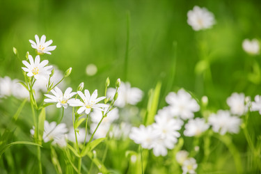 Similar image 11964821