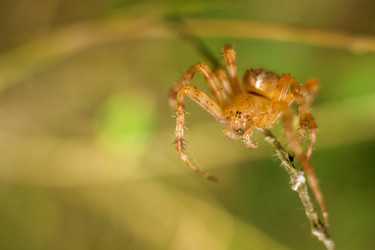 Similar image 11964822