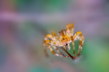 Similar image 11964823