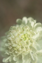 Similar image 11964824